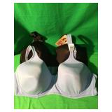 2 BRA 42DDD & 50B