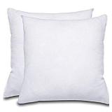 2 18"X18"" INSERT THROW PILLOW