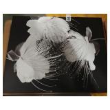 GRAPHIC ART PRINT ON CANVAS *16'X20'* GRAPHIC ART PRINT ON CANVAS *16'X20'*