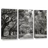 3PC ART ON CANVAS 3PC ART ON CANVAS