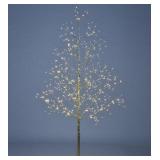 LIGHTSHARE 5