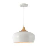 YOSEMITE LIGHT PENDANT