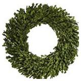 MUD PIE NATURAL PRESERVED BOXWOOD 22' WREATH MUD PIE NATURAL PRESERVED BOXWOOD 22' WREATH