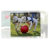 JOLLY PETS 14' PUSH-N-PLAY PET TOY
