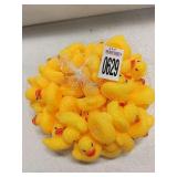 SQUEEZY DUCKS