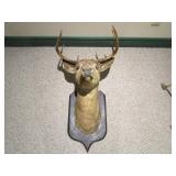 DEER MOUNT DEER MOUNT