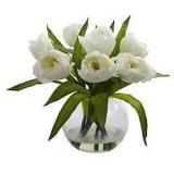 WILLA ARLO TULIPS ARRANGEMENT WITH VASE