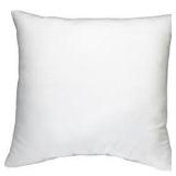 2PC 20"X20" THROW PILLOW INSERT