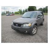 2006 FORD ESCAPE 323778 KMS