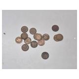 15 Indian Head Pennies Assortment