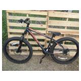 Online City of Winnipeg Bicycle Auction 