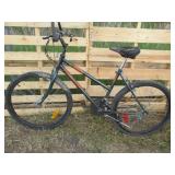Online City of Winnipeg Bicycle Auction 