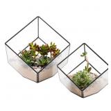 ElegantLife Succulent Terrarium, Geometric