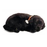 Perfect Petzzz Black Lab The Huggable Pet