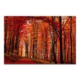 Trademark Fine Art The Red Way by Philippe Sainte-