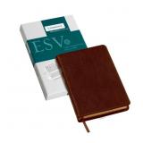 Cambridge ESV Pitt Minion Reference Brown Goatskin