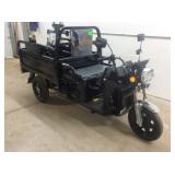 2026 Unused Electric Tricycle Iret13