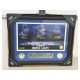 Framed The Highland Mint Toronto Maple Leafs