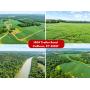 Incredible 670 Acre Farm with Tillable, Hunting & Rec Land, 2 Homes, Barns & Access to the Green River - Calhoun, KY Auction