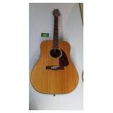 Fender F-210 Acoustic Guitar