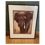 Elephant Print