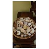 Woven Bowl of Assorted Shells w/ Serving Tray