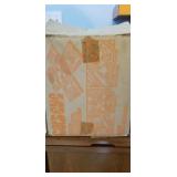 Cats Eye Color Coordination Game