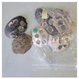 Muscle Shells w/ Button Holes