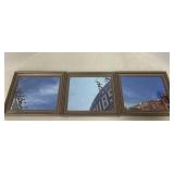 Assorted Cubs Framed Photos