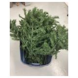 Large Christmas Tree