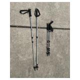 Leki All Terrain Hiking Sticks