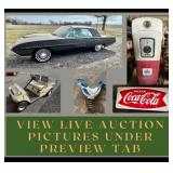 View LIVE auction pictures under Preview Tab