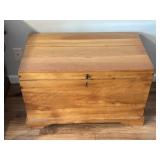 Trunk/ Chest