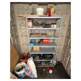Contents of Shelf and More in Shed