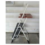 Cosco Step Ladder