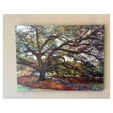 Hailey Herrera The Century Oak Art Print