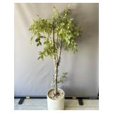 Artificial Tree