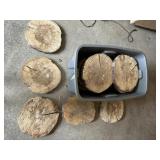 Live Edge Wood Slabs