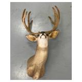 Whitetail Deer Shoulder Mount