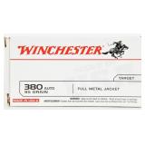 100 Winchester USA Ammunition 380 ACP