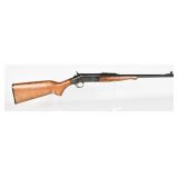 New England Firearms Versa-Pack Single Shot .22 LR