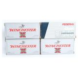 80 Rds Winchester and Federal .300 Ammo
