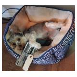 STOP & TAKE THE TIME TO READ THIS BEFORE YOU BID!