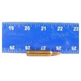 .224X45 SHORT BULLET