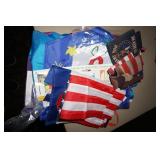 Collection of Patriotic Items