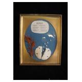Framed The Legend of the Sand Dollar