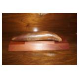 Fossilized Item