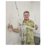 Life Size Plastic Skeleton Halloween Decor