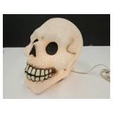 Light Up Skull Head 8" High