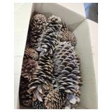 Large Lot of 12" Pinecones